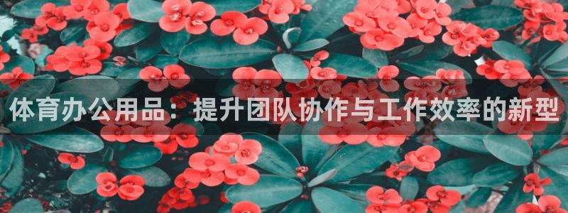 体育办公用品：提升团队协作与工作效率的新型