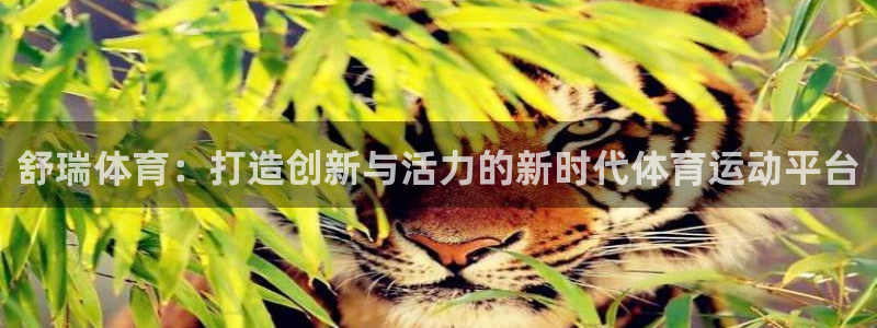 舒瑞体育：打造创新与活力的新时代体育运动平台